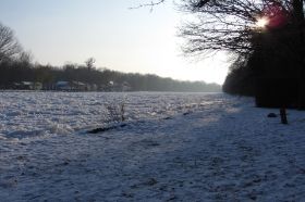 Feb. 2012 050.JPG